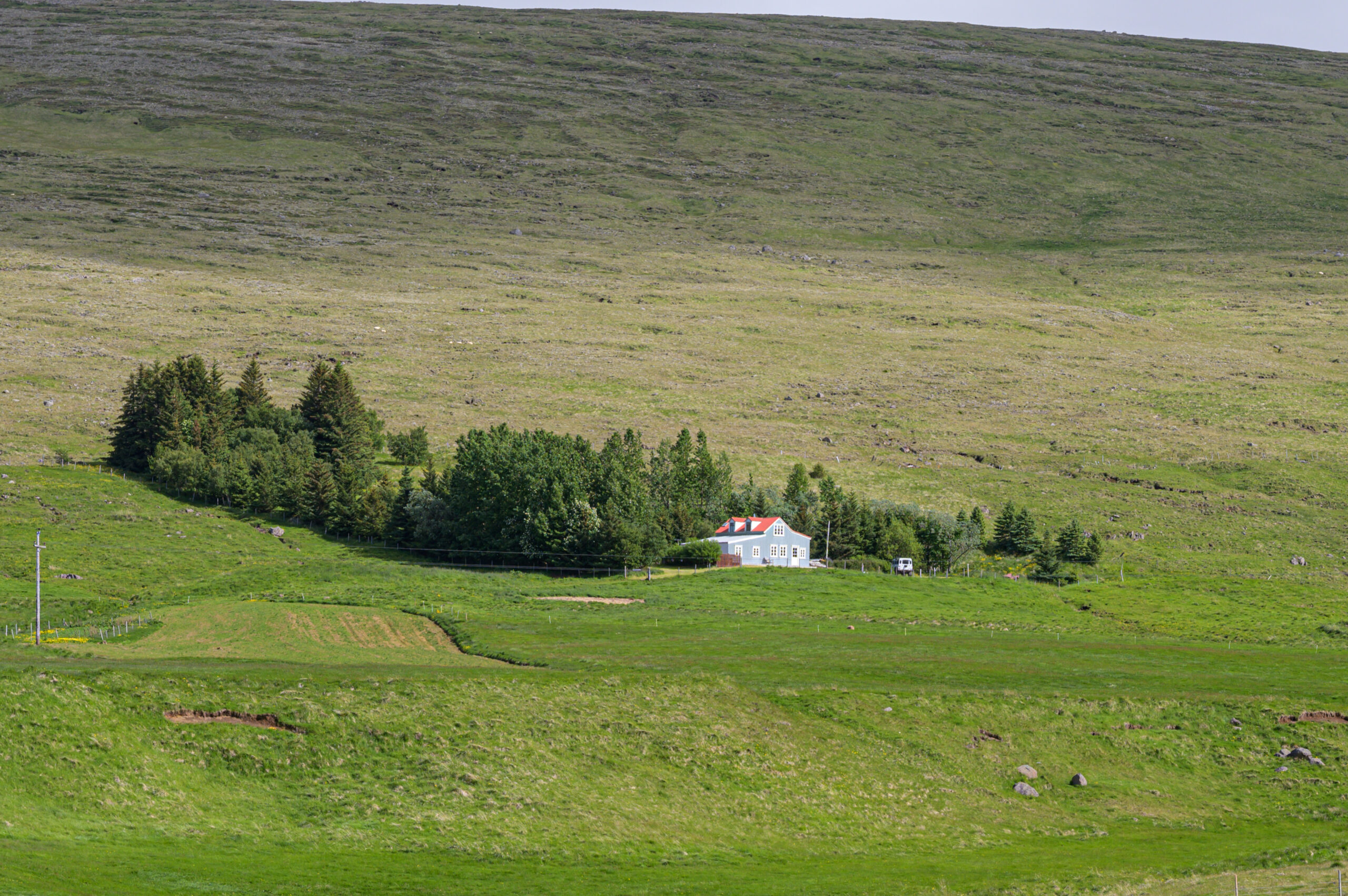 DSC_5640