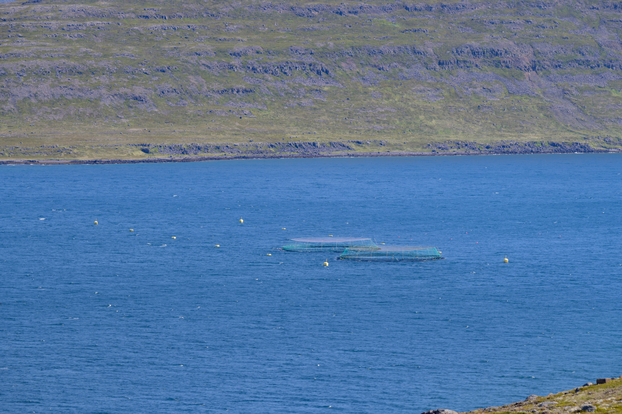 DSC_5736