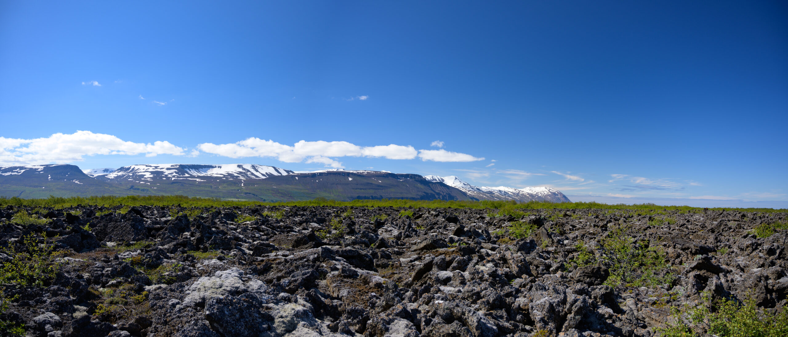 DSC_5911-Panorama
