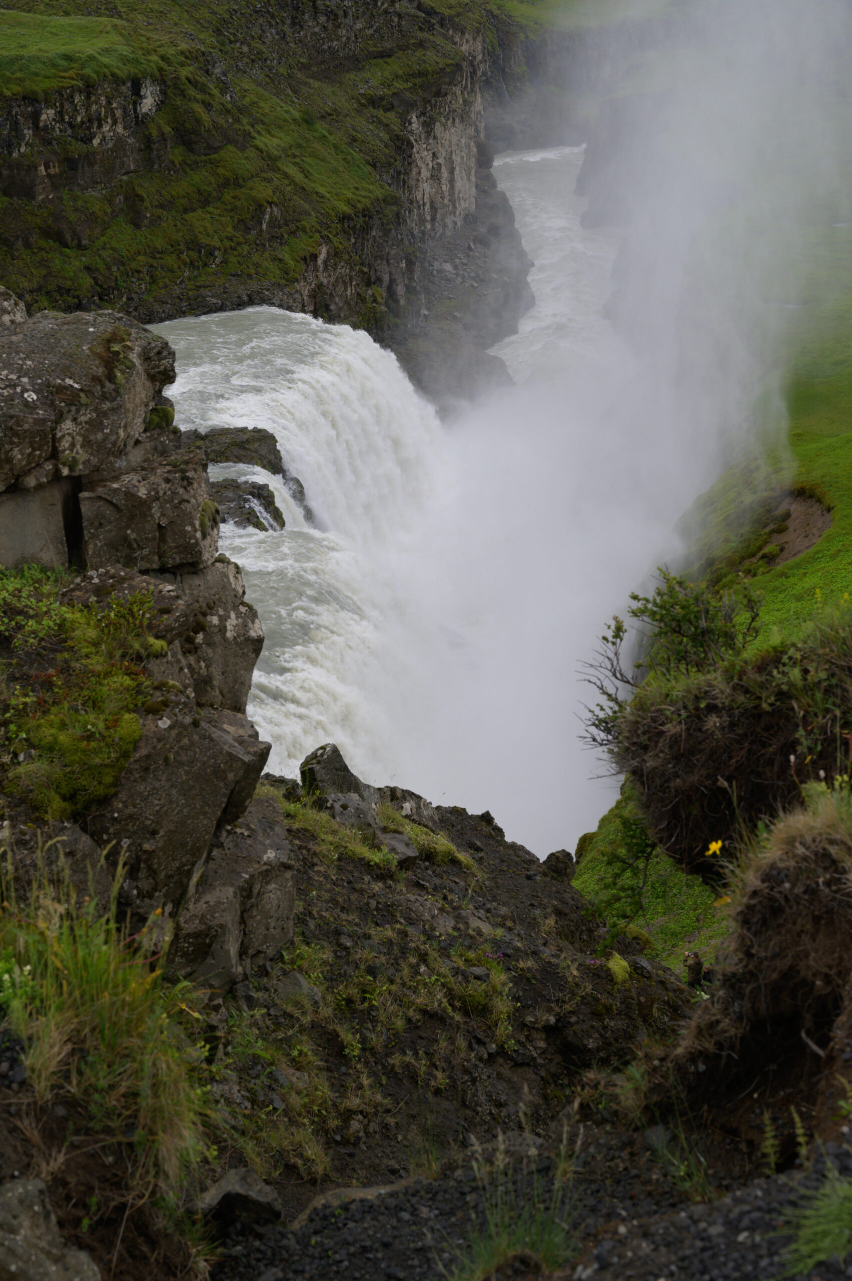 DSC_6972