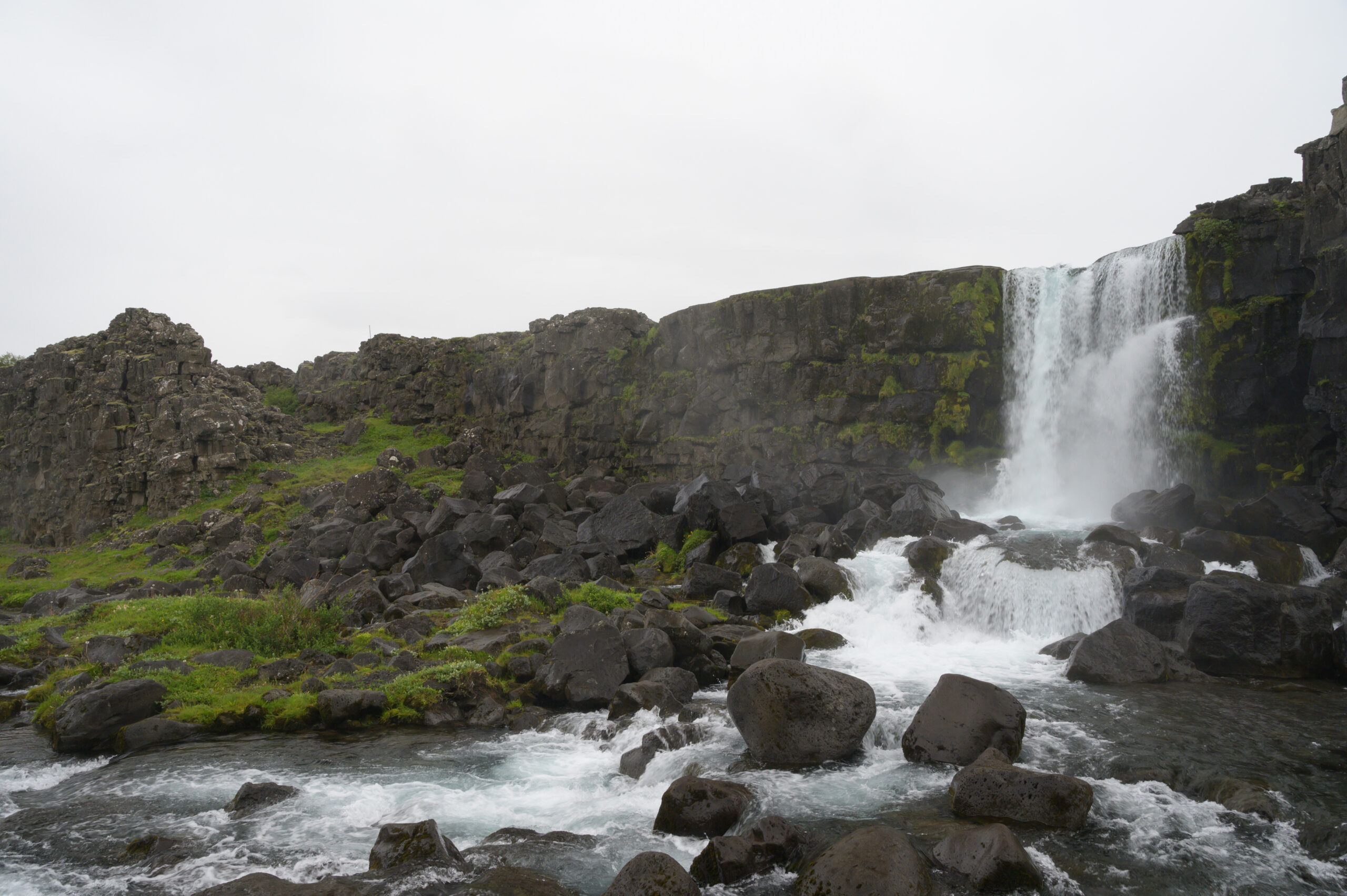 DSC_6989