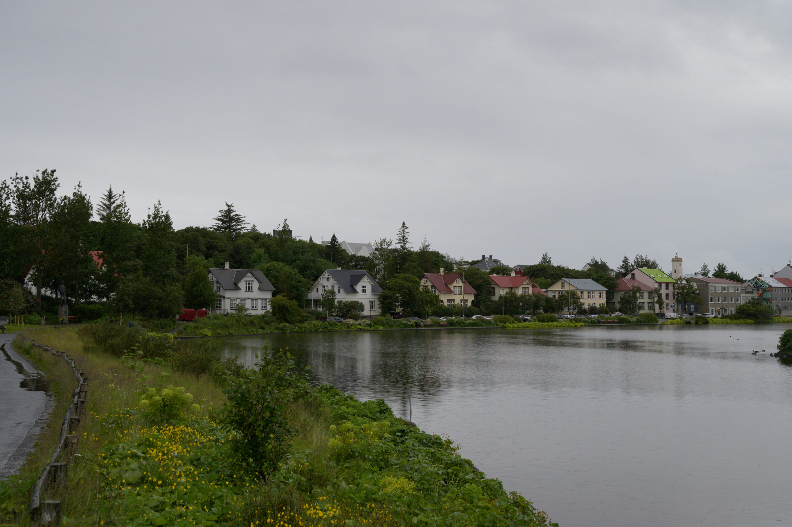DSC_6995