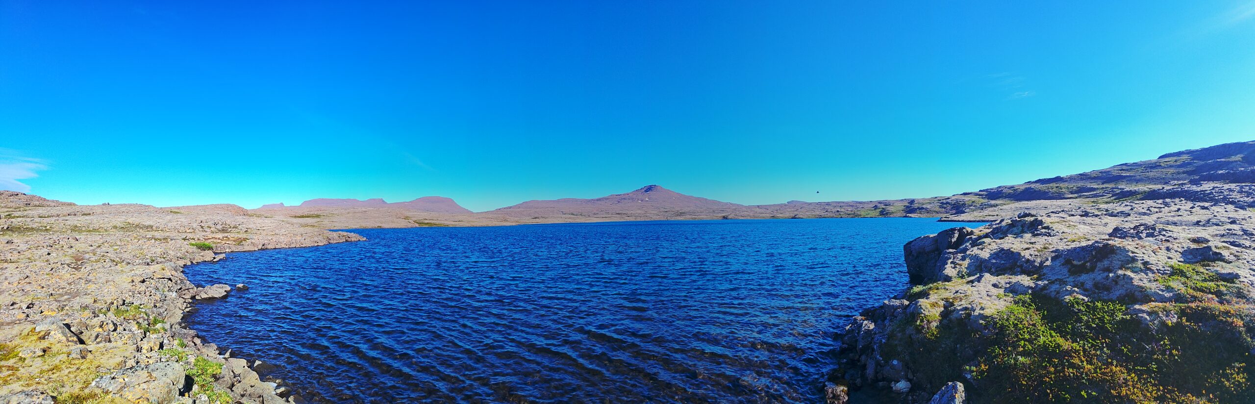 P_20240707_084057